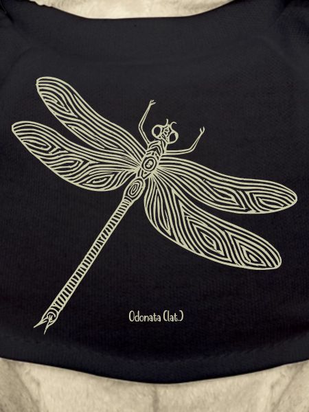 Libelle Odonata