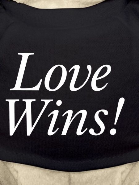 NEW -- Love Wins!