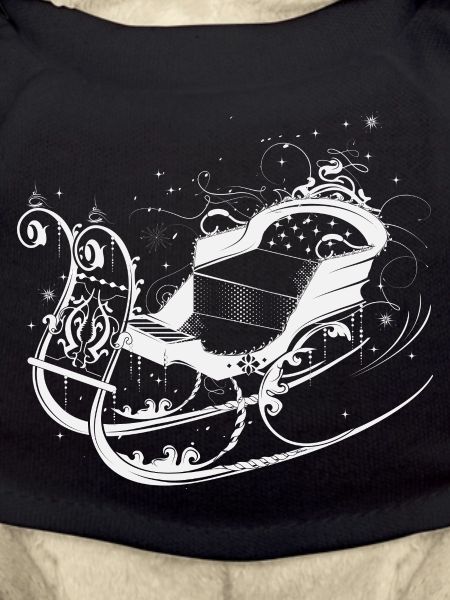 Elegant Winter Sleigh Ornaments