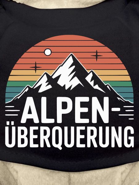 Crossing the Alps