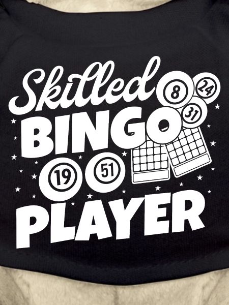 Bingo Player Skilled Player Bingo