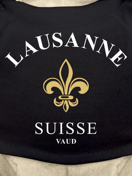 Lausanne Suisse Switzerland