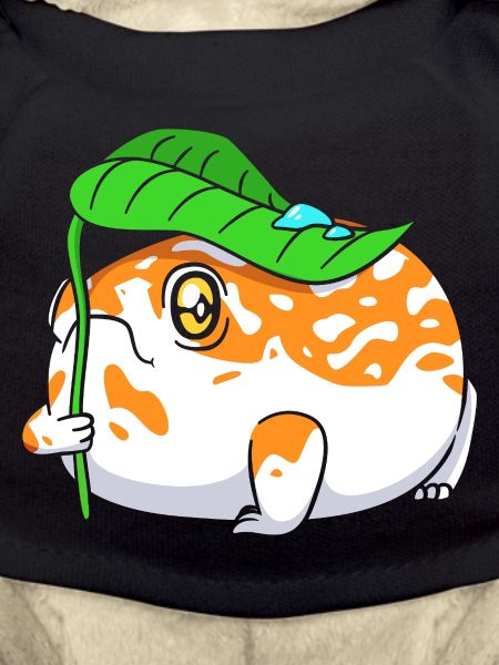 Frosch Desert Rain Frog