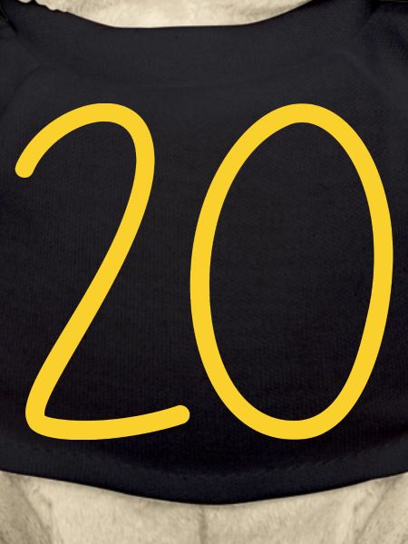 20