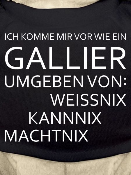 I feel like a Gaul
