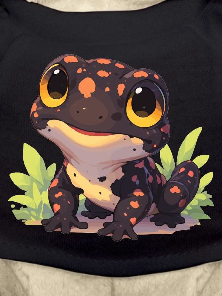 Fire Salamander Salamander