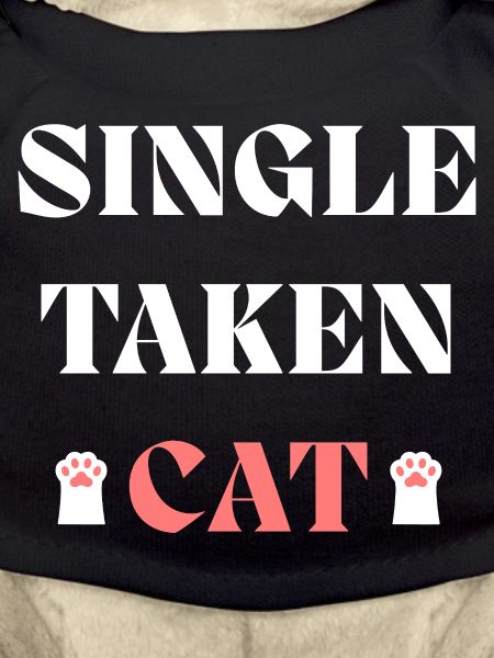 Chat unique pris pour la Saint-Valentin