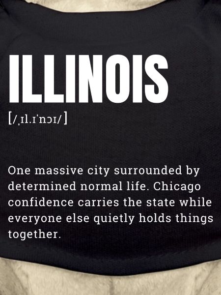 Illinois Style: Chicago Confident