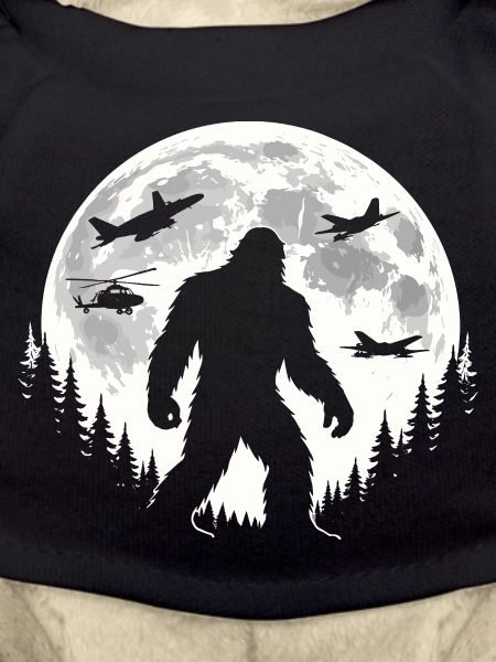 Bigfoot Flugzeuge