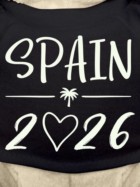 Spain 2026 Palm Trees