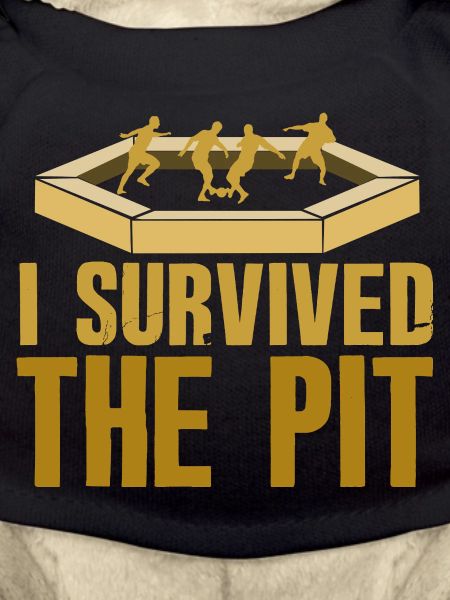 I Survived The Pit