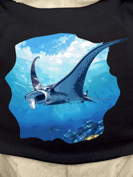 Rays Manta Rays