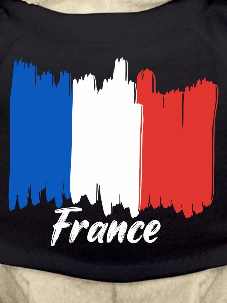 Frankreich Flagge Geschenkidee