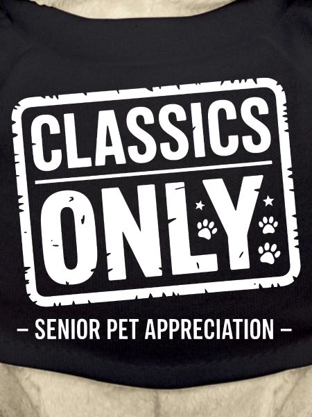 Nur Klassiker Senior Pet
