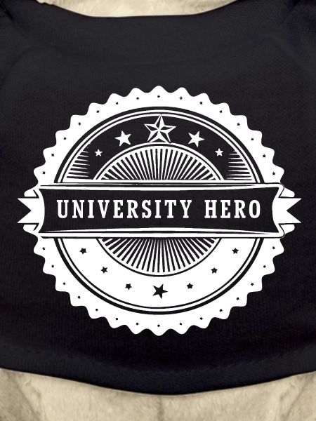 University Hero - Badge, Design