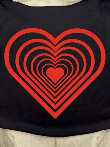 Infinite Red Heart