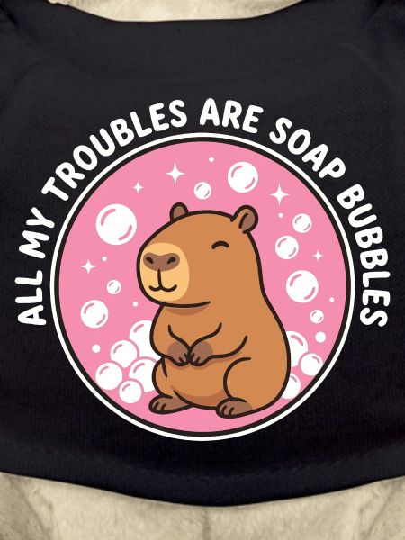 All My Troubles Are Soap Bubbles