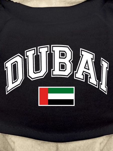 Drapeau de Dubaï