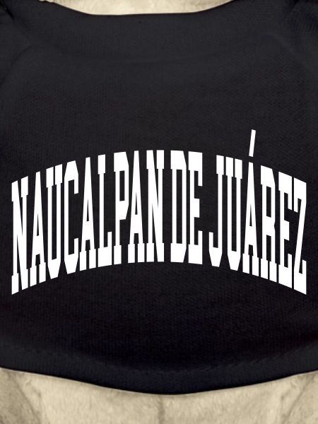 Naucalpan de Juárez