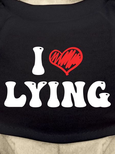 I Love Lying