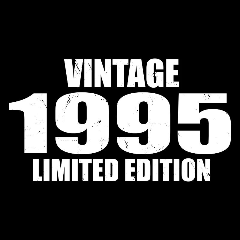 Vintage 1995 Geburtstag 1995 Retro 1995