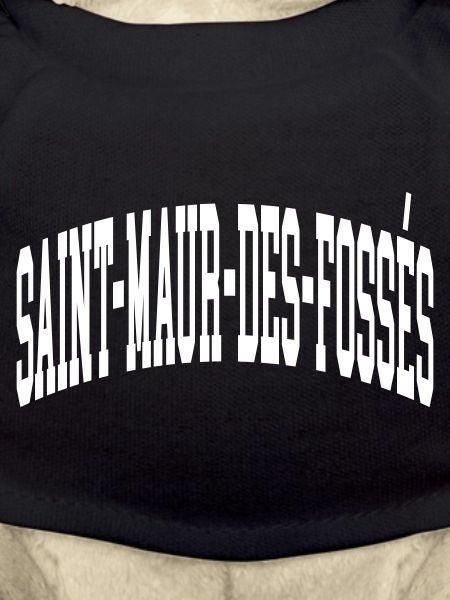 Saint-Maur-des-Fossés