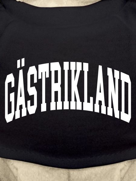 Gästrikland
