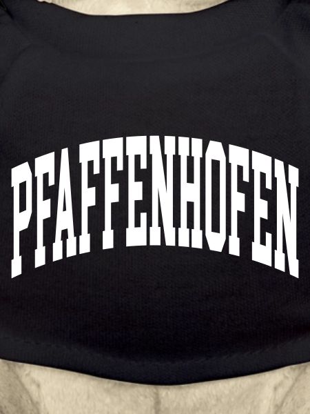 Pfaffenhofen