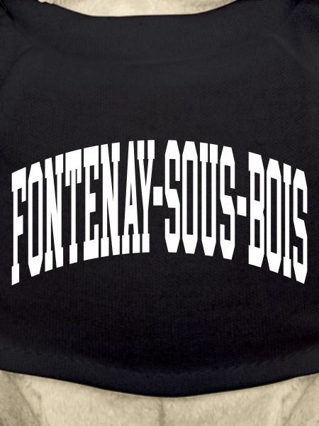 Fontenay-sous-Bois