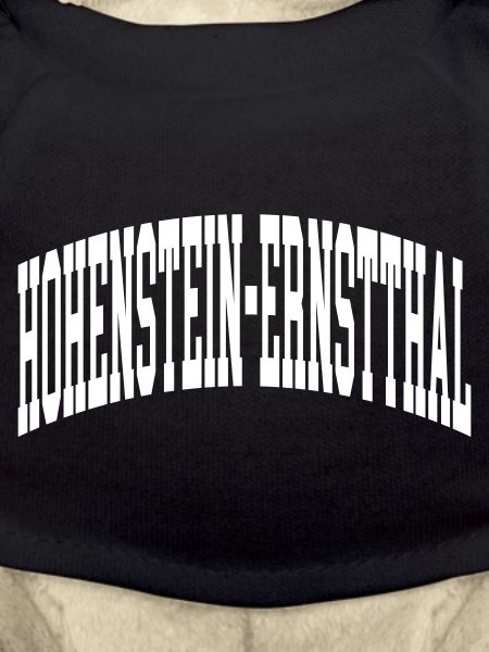 Hohenstein-Ernstthal