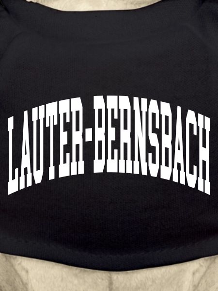 Lauter-Bernsbach