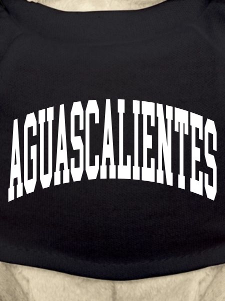 Aguascalientes