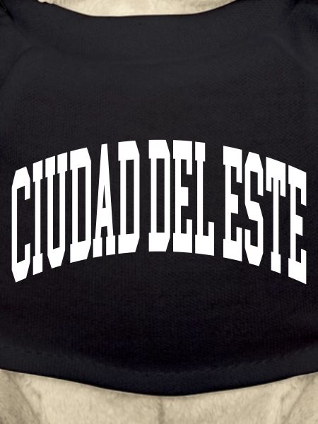 Ciudad del Este