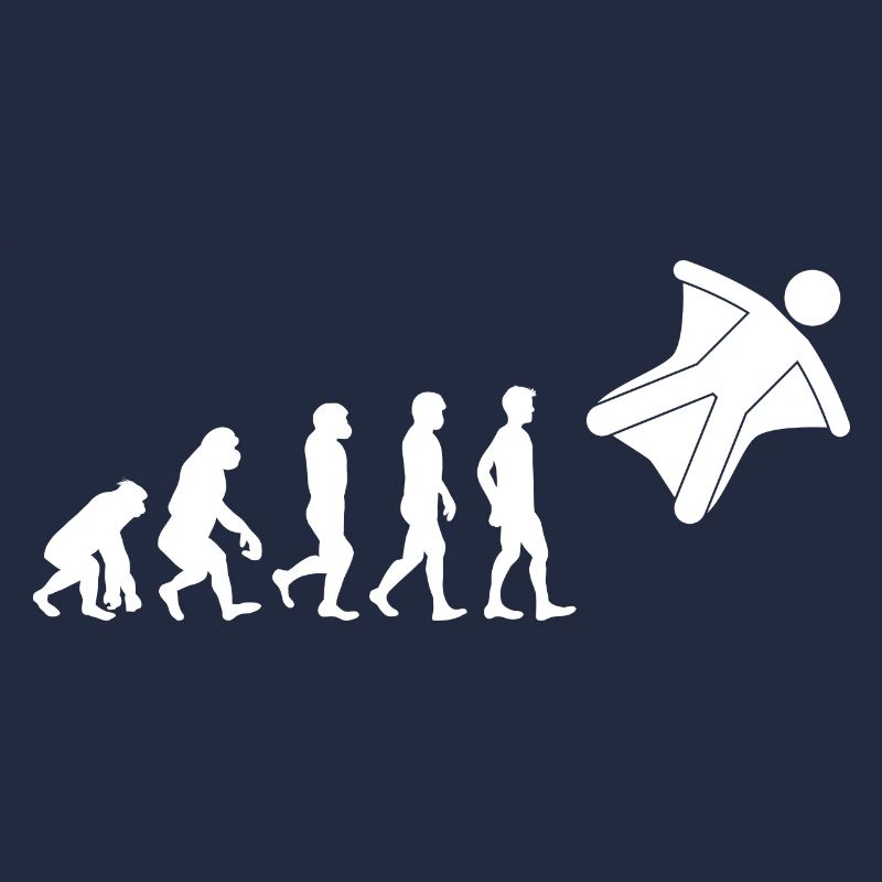 Wingsuit volant Base Jumping Skydiving Evolution