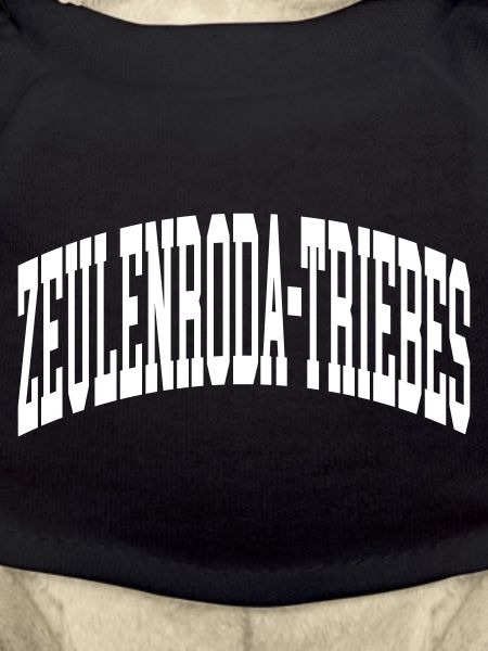 Zeulenroda-Triebes