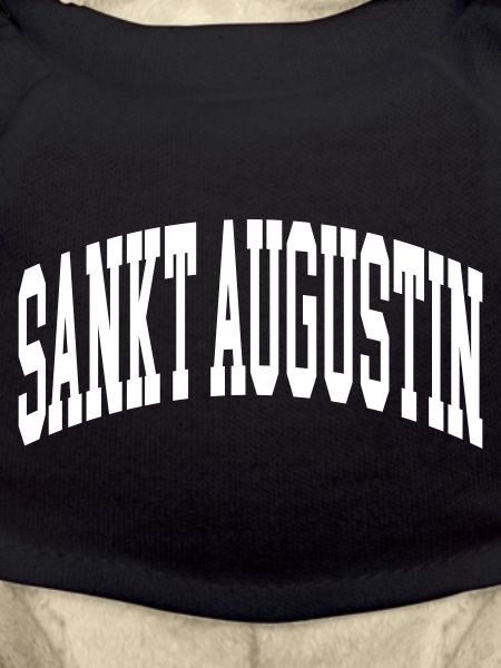 Sankt Augustin