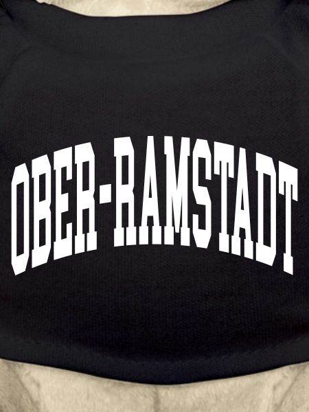 Ober-Ramstadt