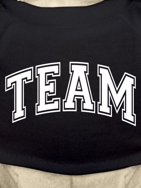 Team