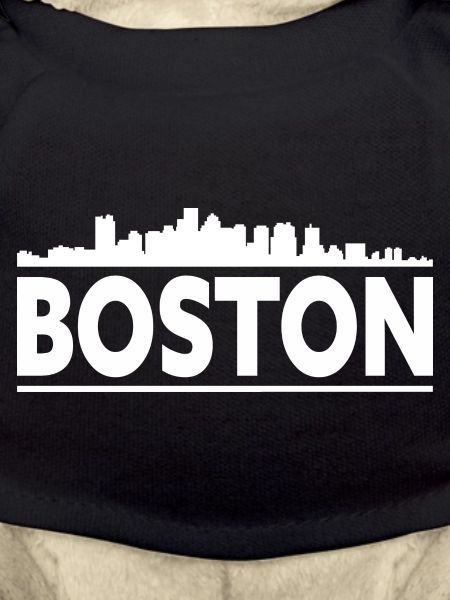 Boston Skyline