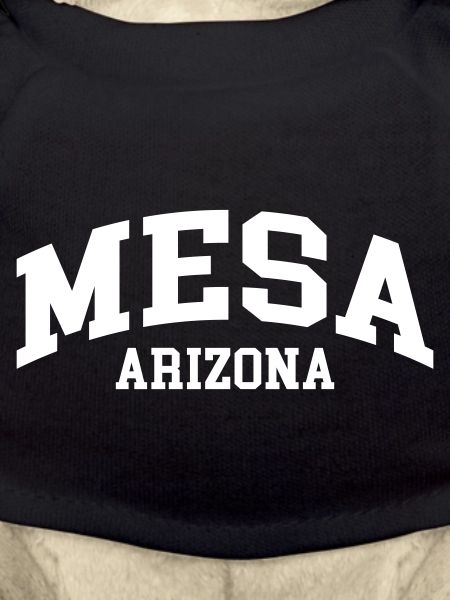 Mesa