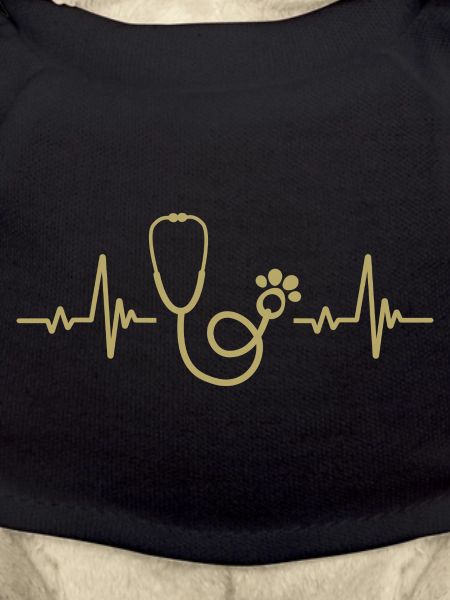 Stethoscope Pulse Rate - Veterinary