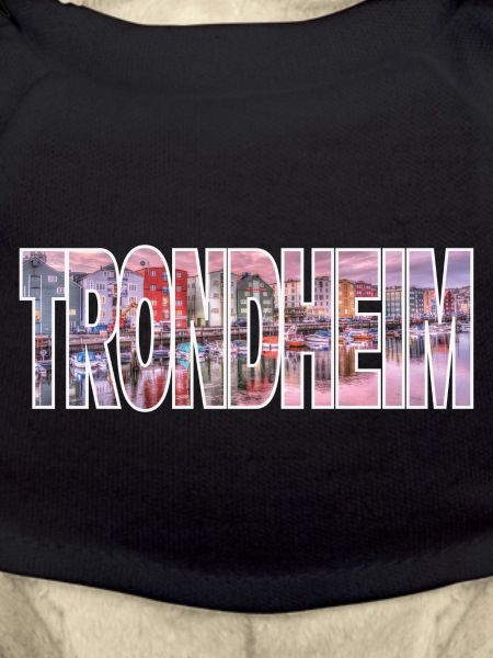 Trondheim