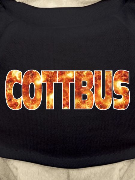 Cottbus