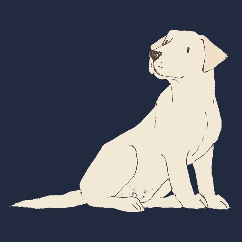 Labrador creme