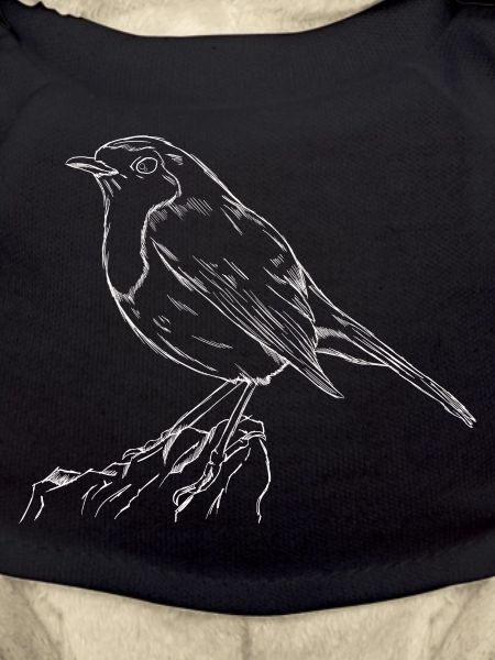 The Robin Songbird Conservation