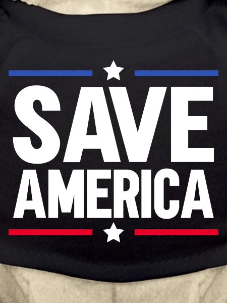 Save America