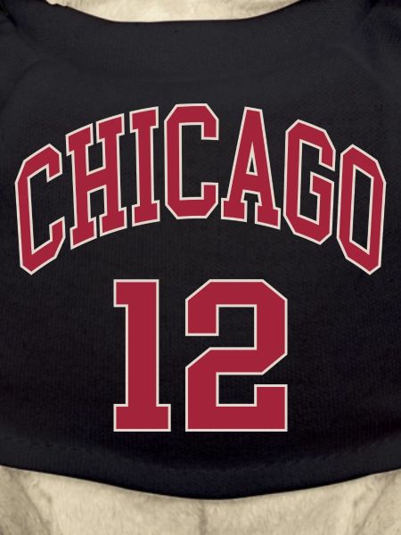 Chicago 12