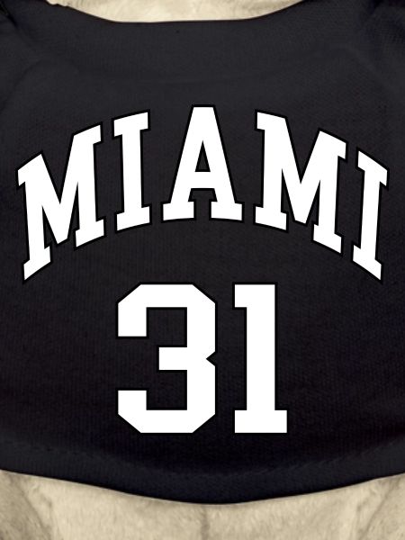 Miami 31