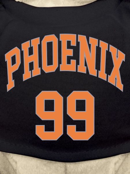 Phoenix 99