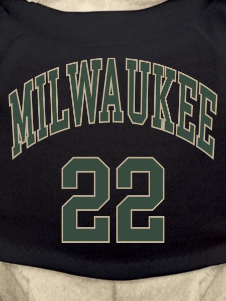 Milwaukee 22